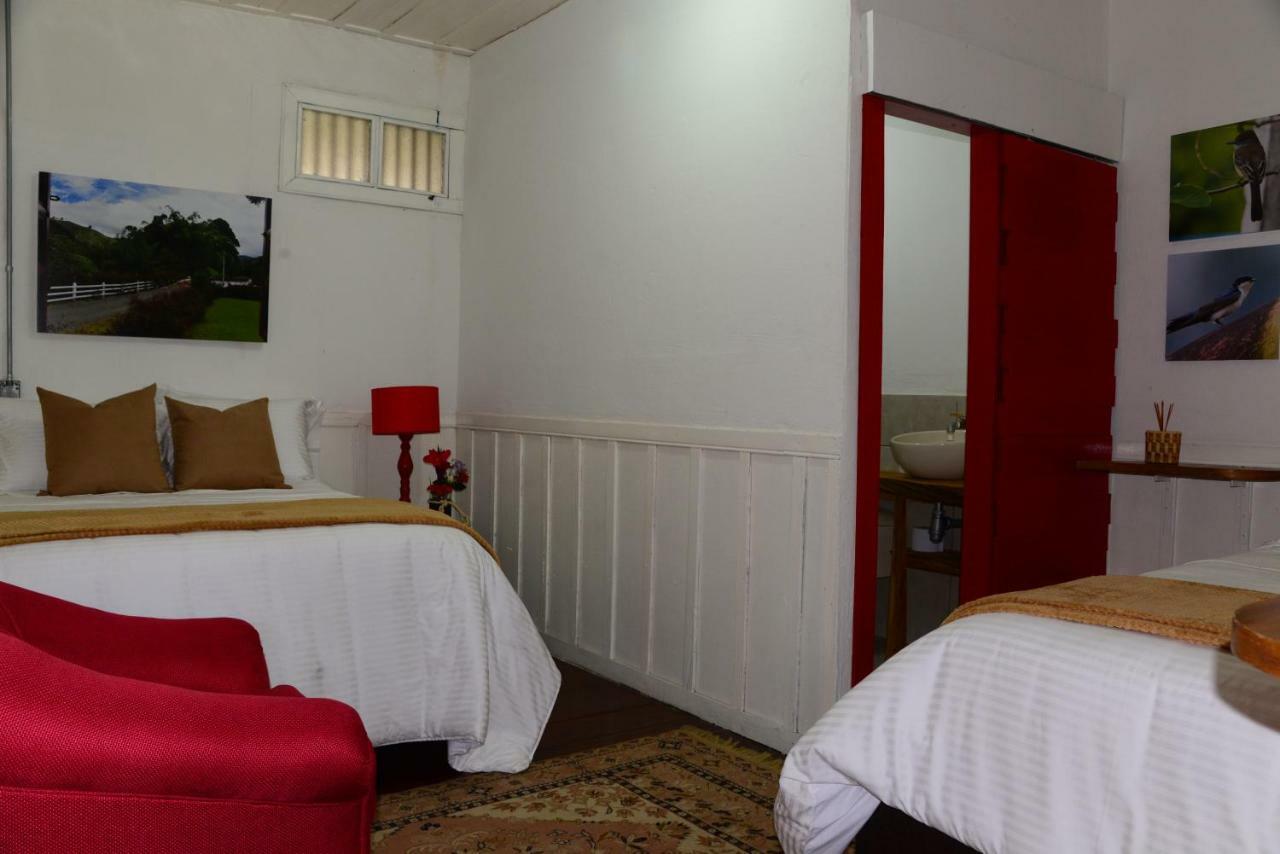Ecohotel Pinohermoso Reserva Natural Salento Exterior foto